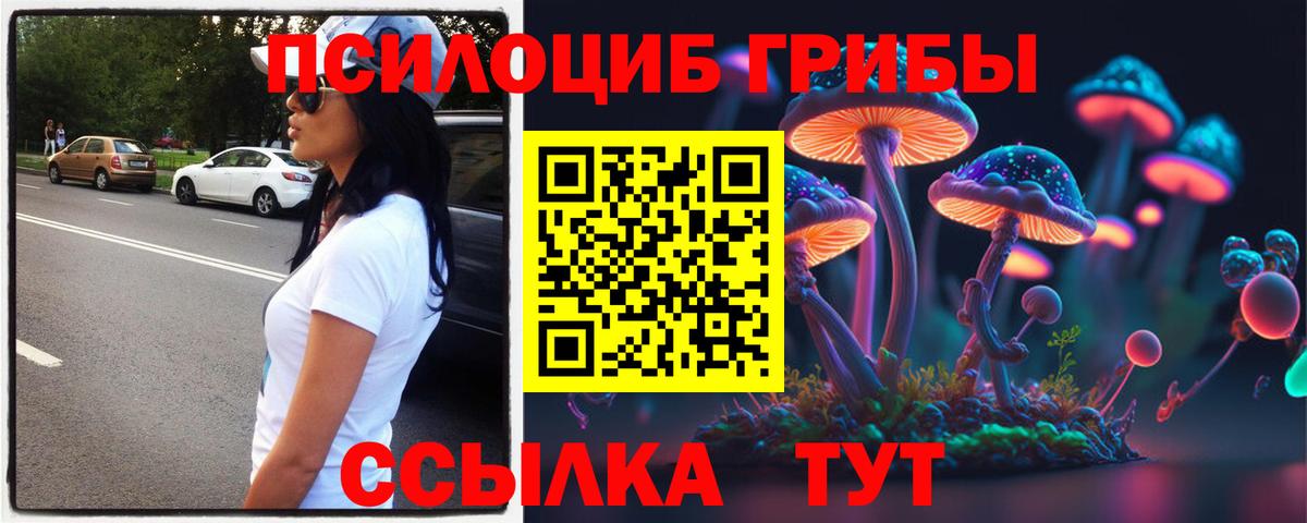 Псилоцибиновые грибы Psilocybe  Вход с VPN  Амурск 